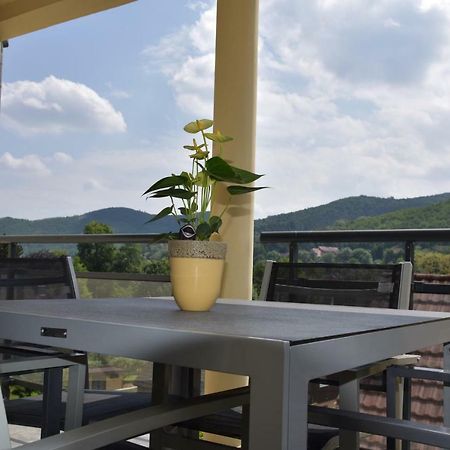 Apartmán Le Brin D'Osier Kaysersberg-Vignoble Exteriér fotografie