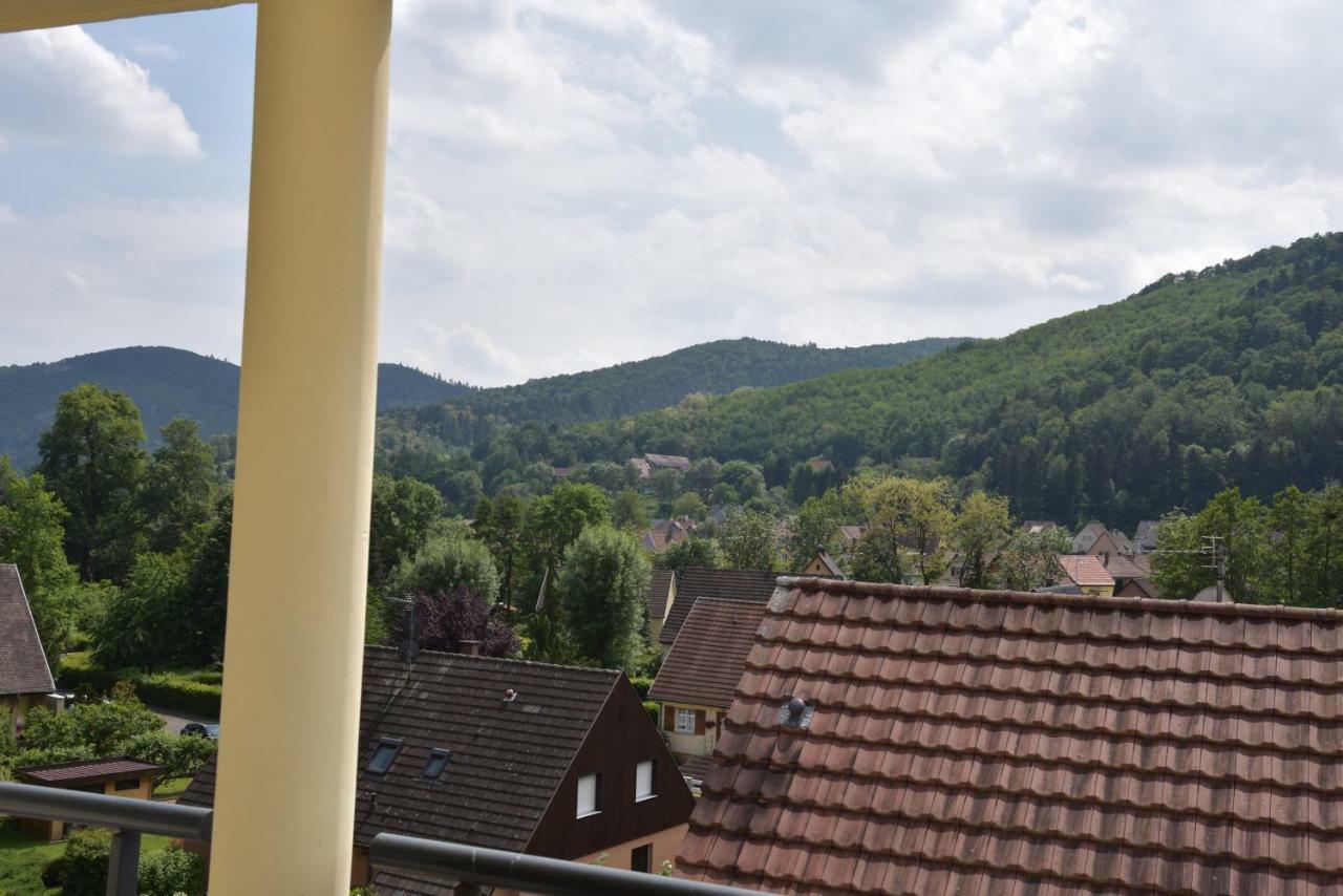 Apartmán Le Brin D'Osier Kaysersberg-Vignoble Exteriér fotografie