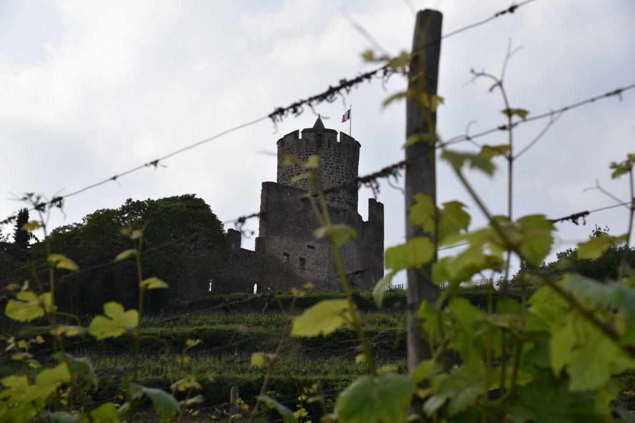 Apartmán Le Brin D'Osier Kaysersberg-Vignoble Exteriér fotografie