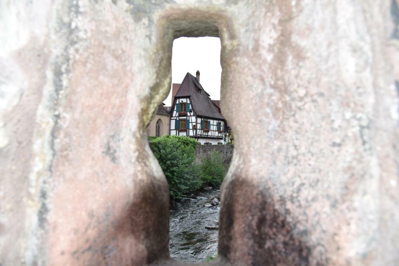Apartmán Le Brin D'Osier Kaysersberg-Vignoble Exteriér fotografie