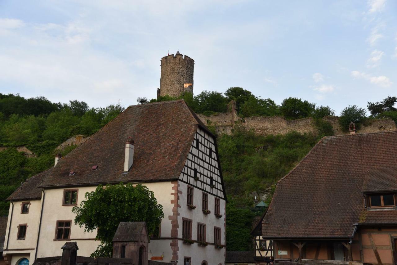 Apartmán Le Brin D'Osier Kaysersberg-Vignoble Exteriér fotografie
