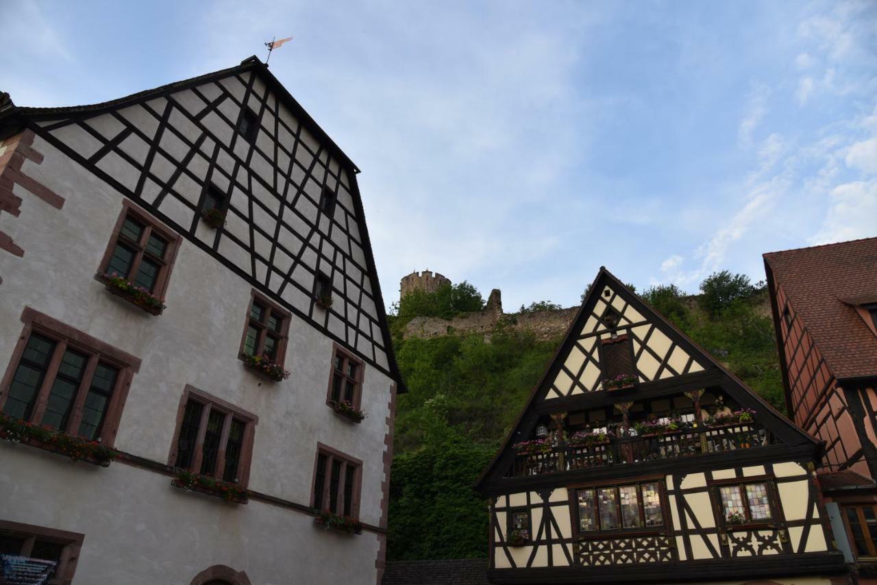Apartmán Le Brin D'Osier Kaysersberg-Vignoble Exteriér fotografie