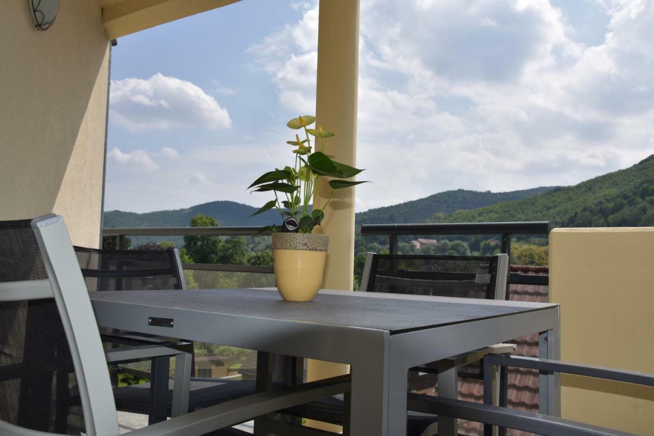 Apartmán Le Brin D'Osier Kaysersberg-Vignoble Exteriér fotografie